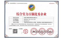 綜合實力優秀百強企業證書